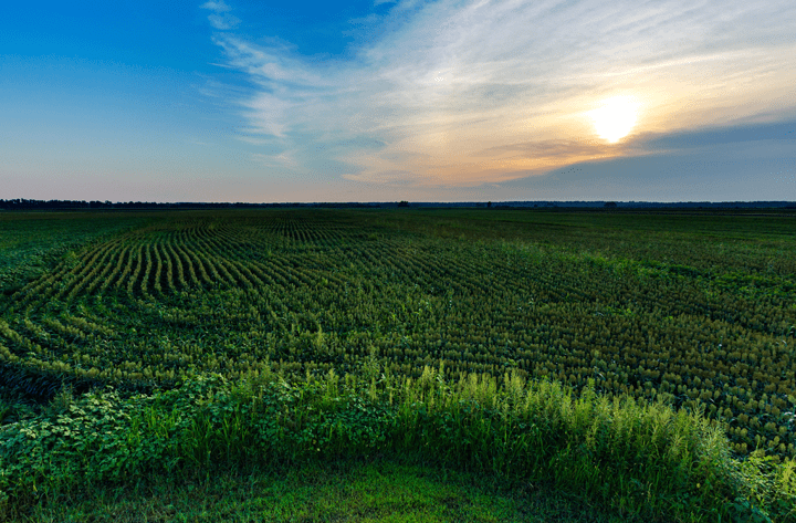 Appellate Victory Secured for Missouri River Basin Landowners in Historic Fifth Amendment Takings Dispute