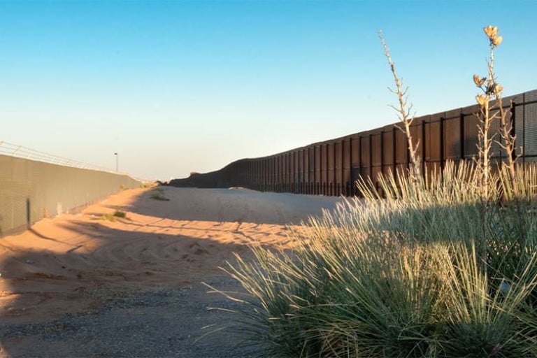 MTO-Image-SAFE-agreement